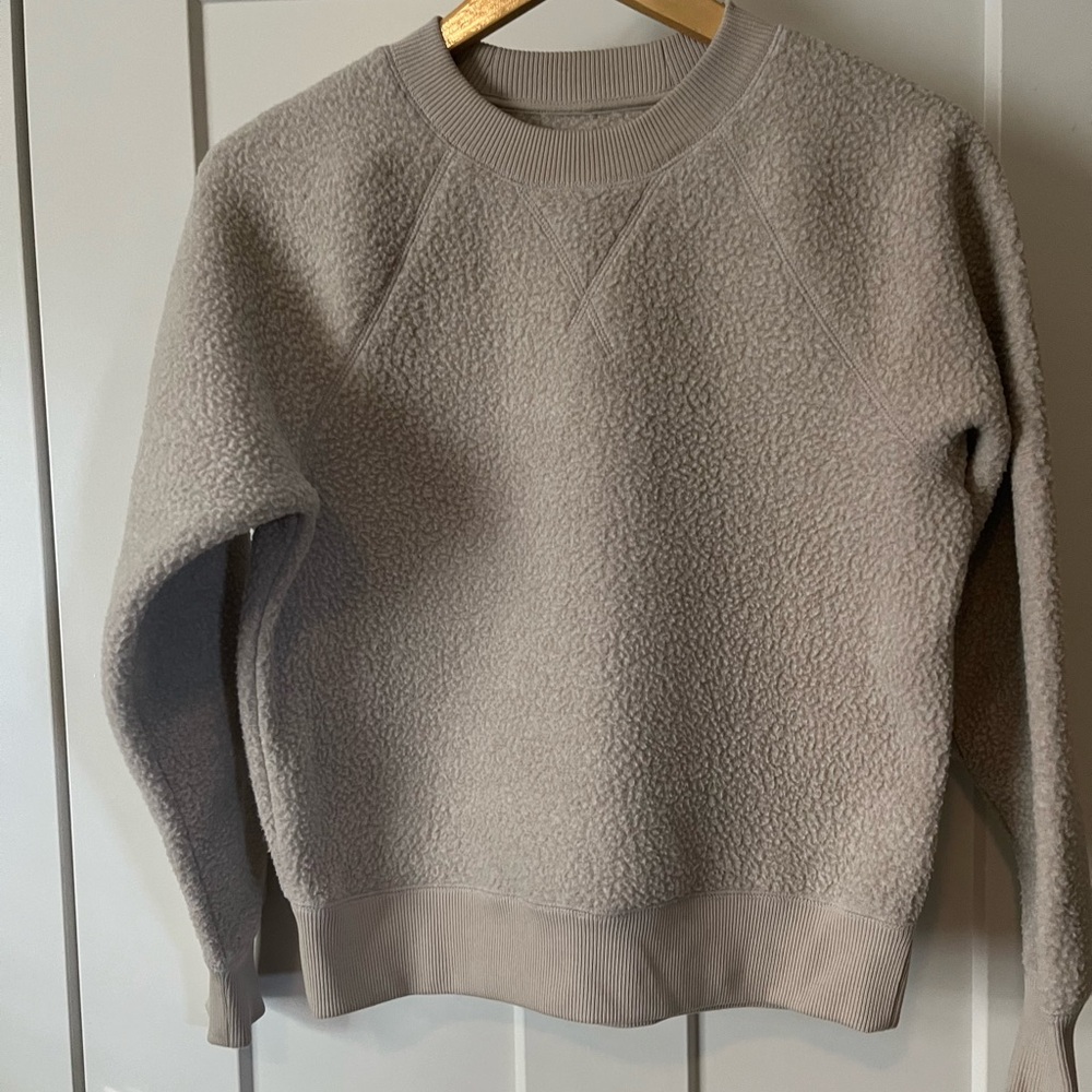 Everlane Teddy Sweatshirt